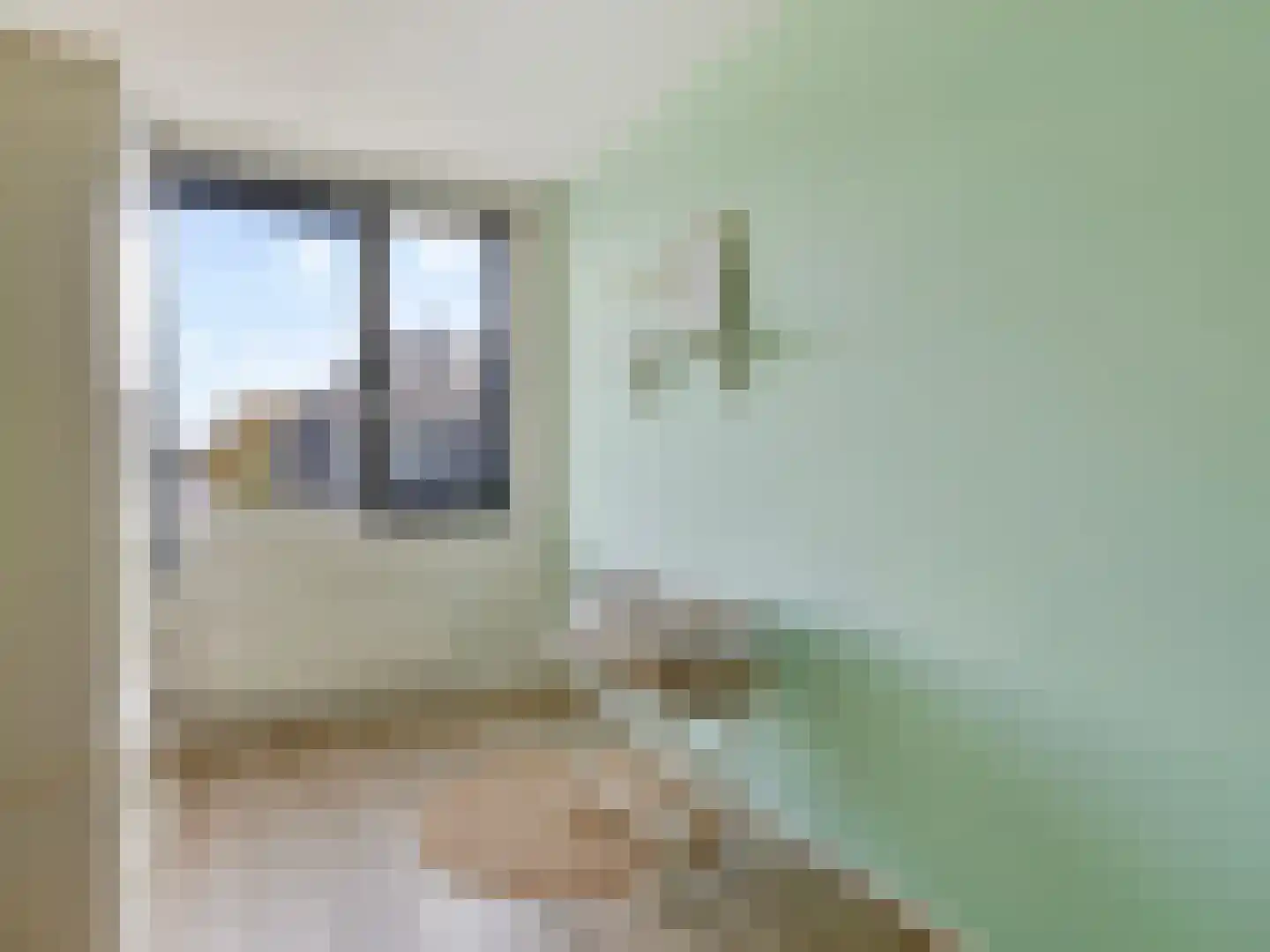Kantbloemsingel 27 Vleuten thumbnail 31