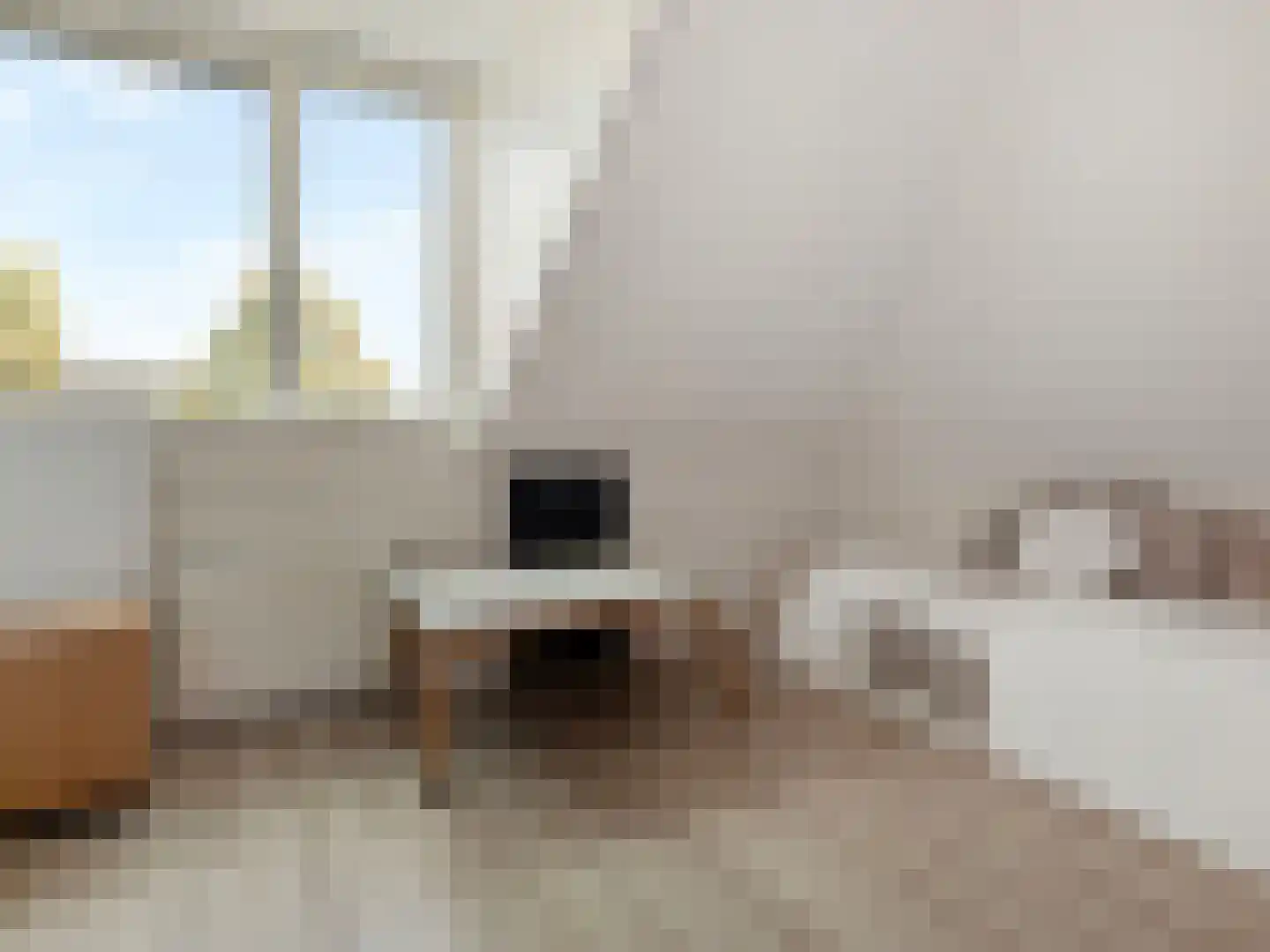 Kantbloemsingel 27 Vleuten thumbnail 41