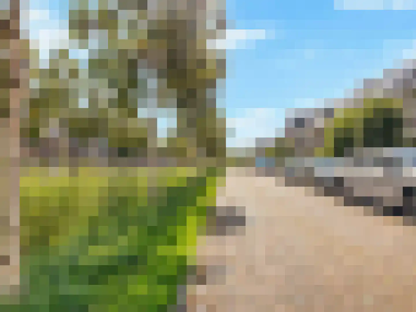 Kantbloemsingel 27 Vleuten thumbnail 44