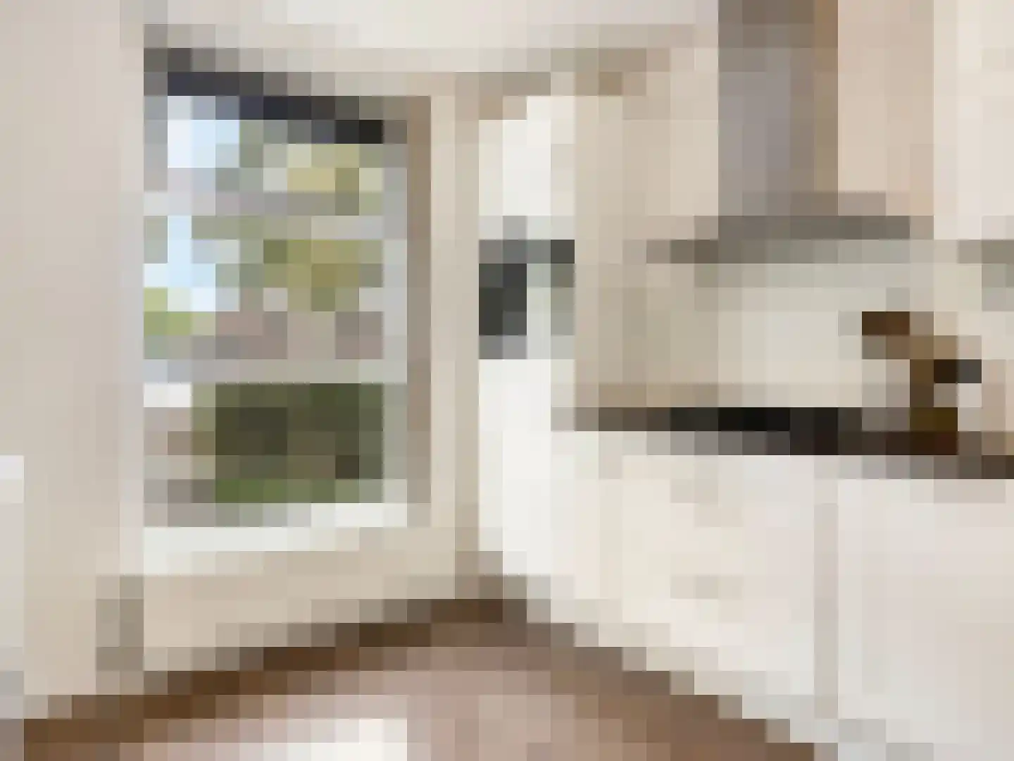 Kantbloemsingel 27 Vleuten thumbnail 5