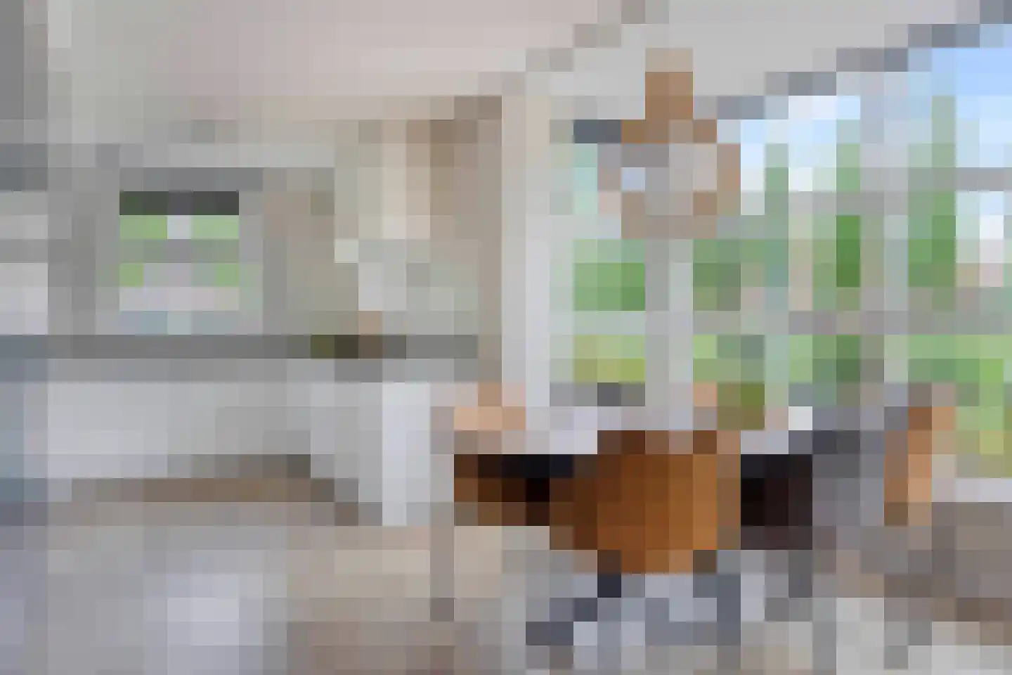 Kantbloemsingel 41 Vleuten thumbnail 10
