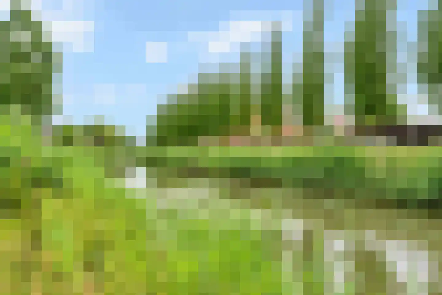 Kantbloemsingel 41 Vleuten thumbnail 50