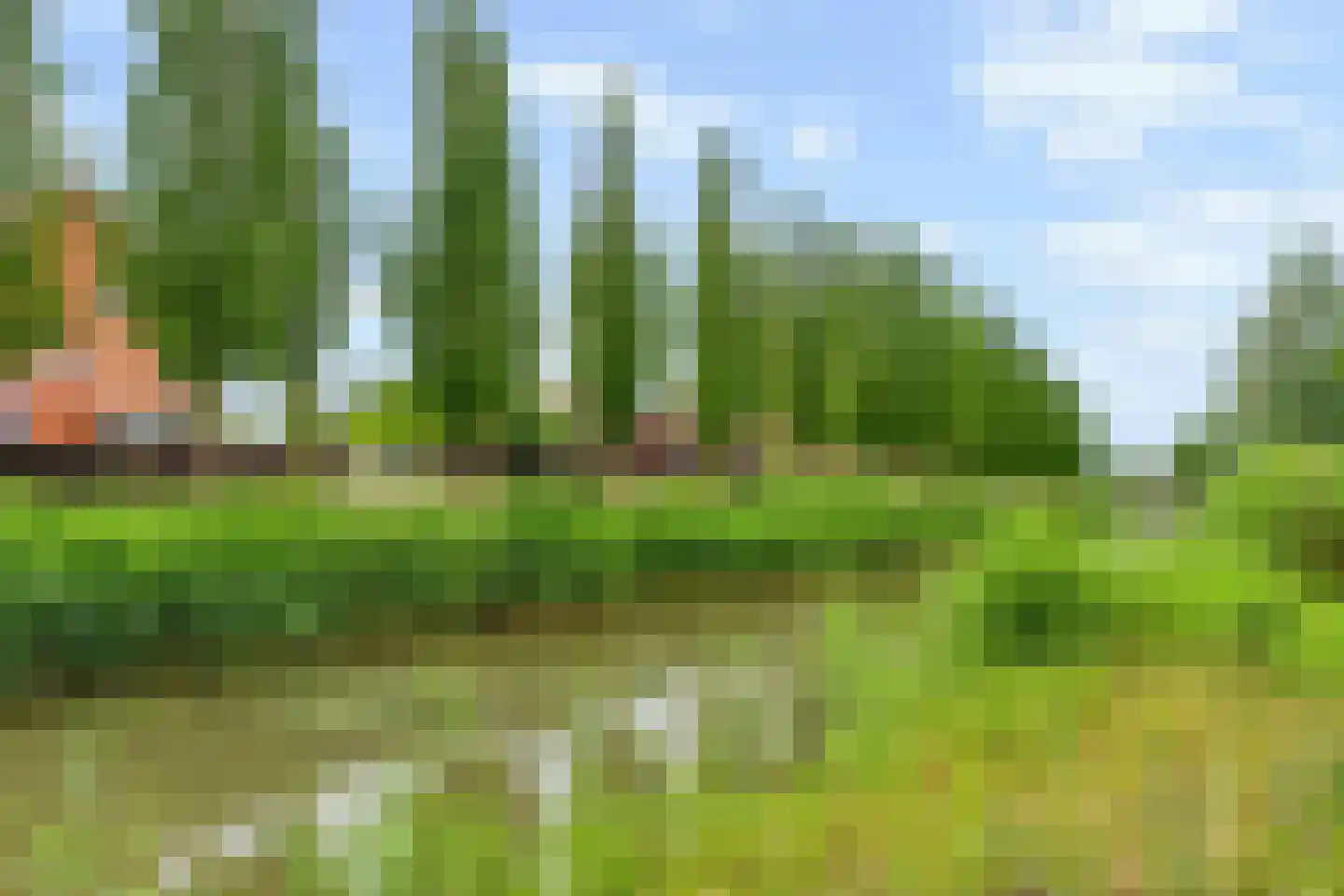 Kantbloemsingel 41 Vleuten thumbnail 51