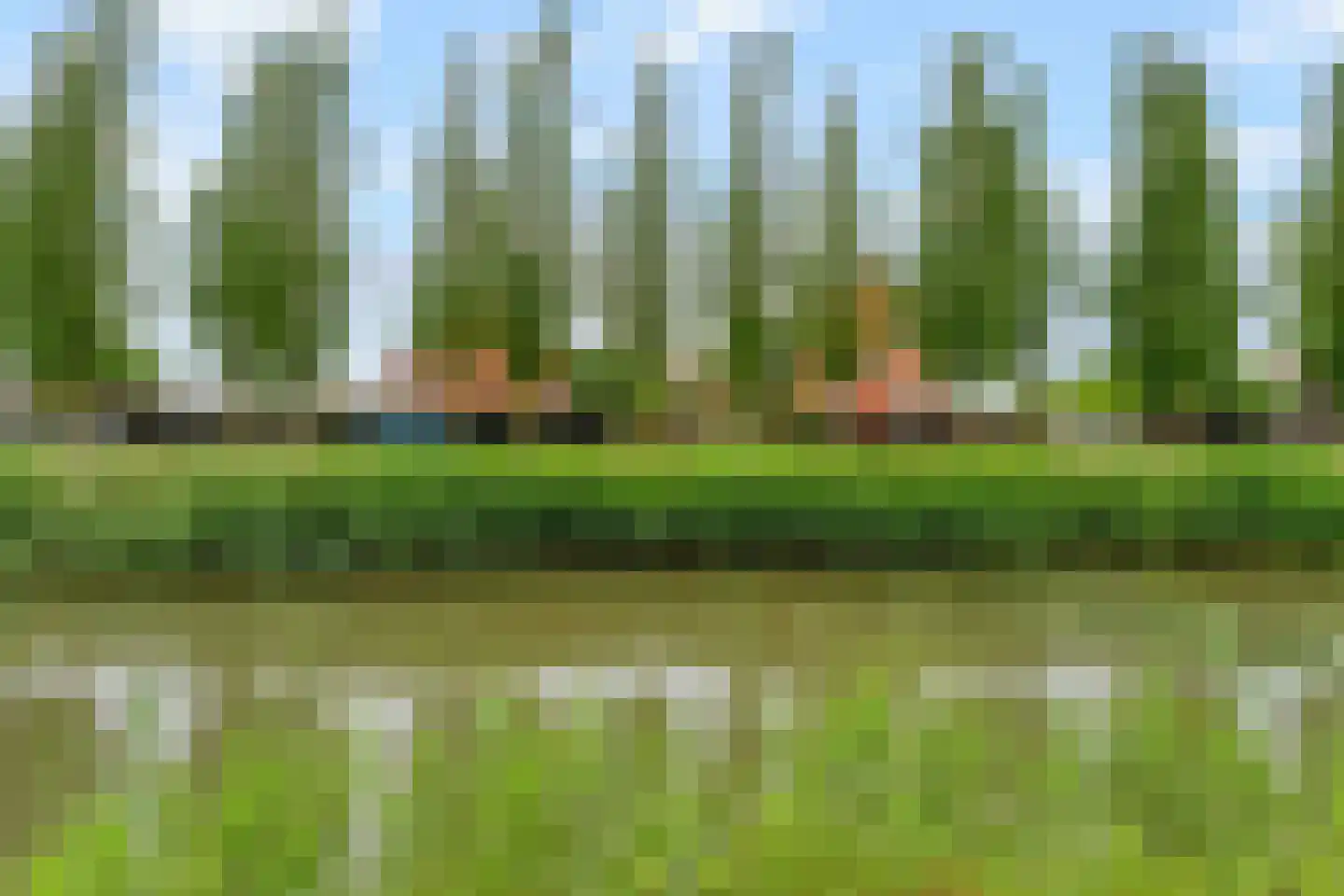 Kantbloemsingel 41 Vleuten thumbnail 52