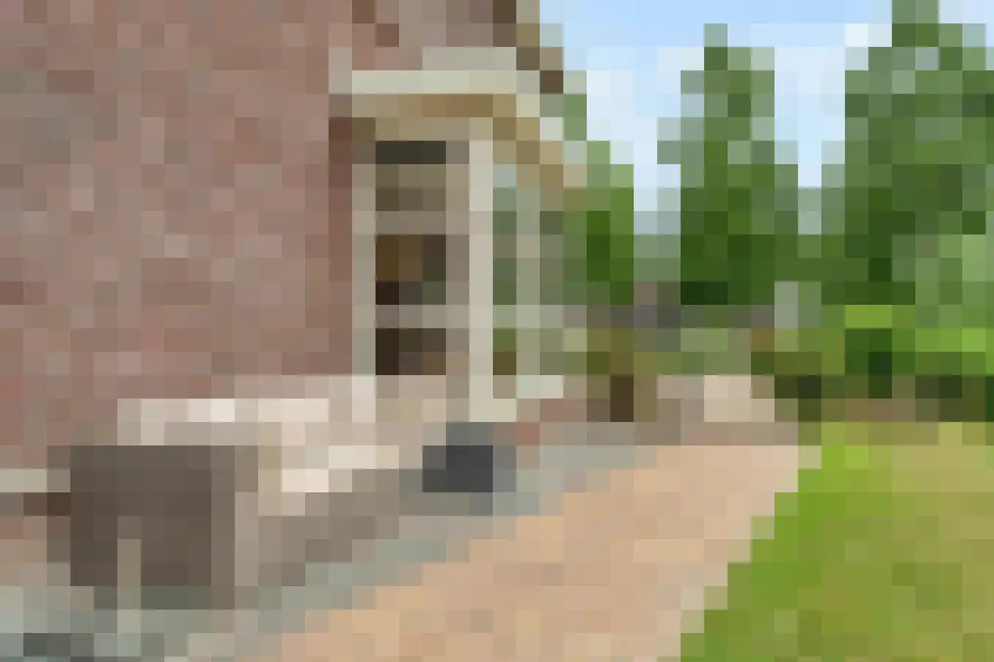 Kantbloemsingel 41 Vleuten thumbnail 53