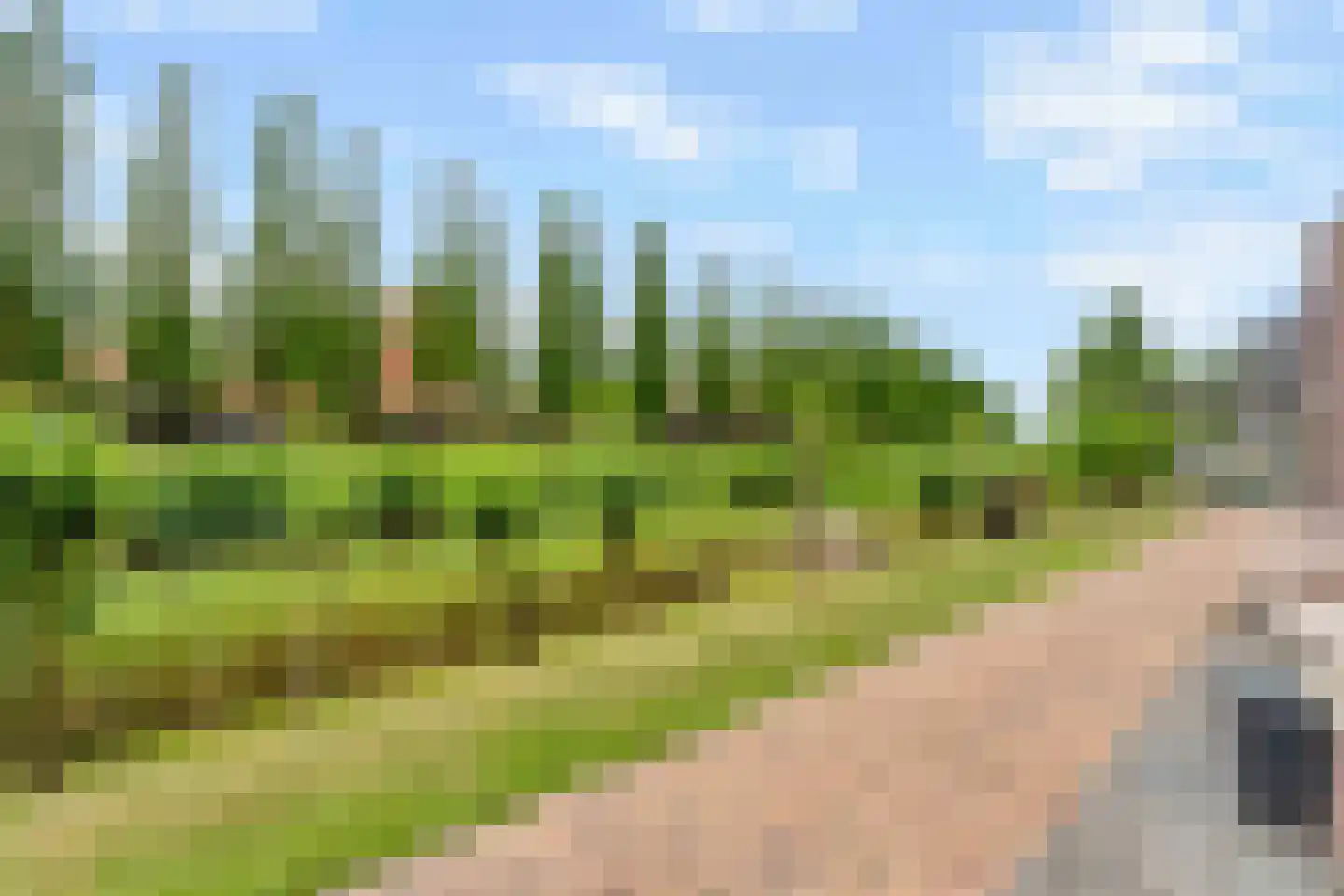 Kantbloemsingel 41 Vleuten thumbnail 55