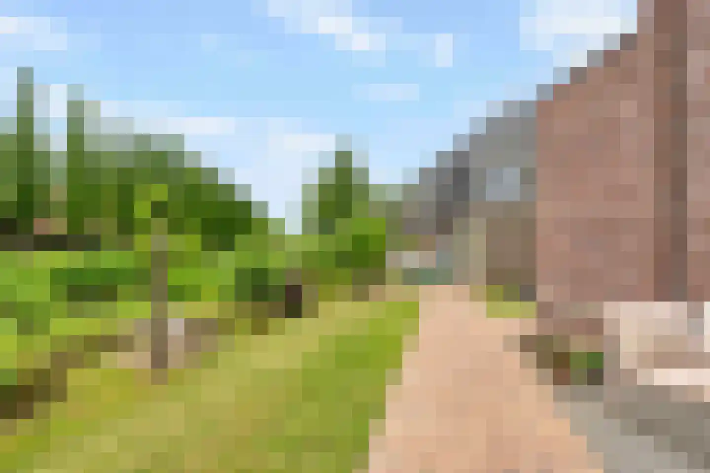 Kantbloemsingel 41 Vleuten thumbnail 56