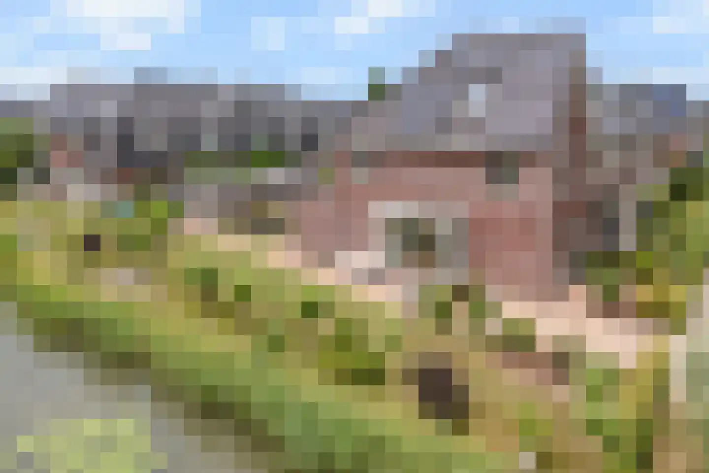 Kantbloemsingel 41 Vleuten thumbnail 57