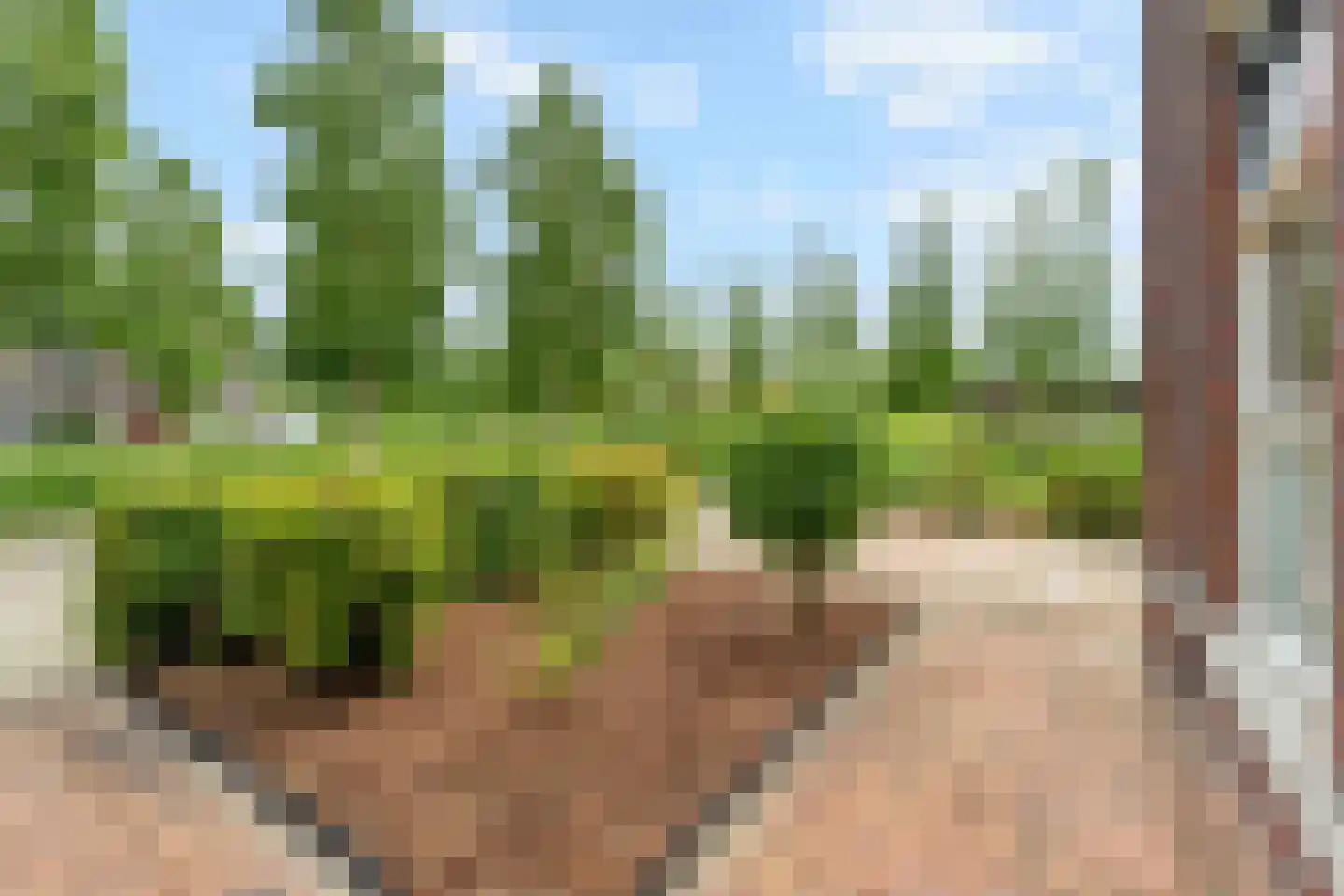 Kantbloemsingel 41 Vleuten thumbnail 66
