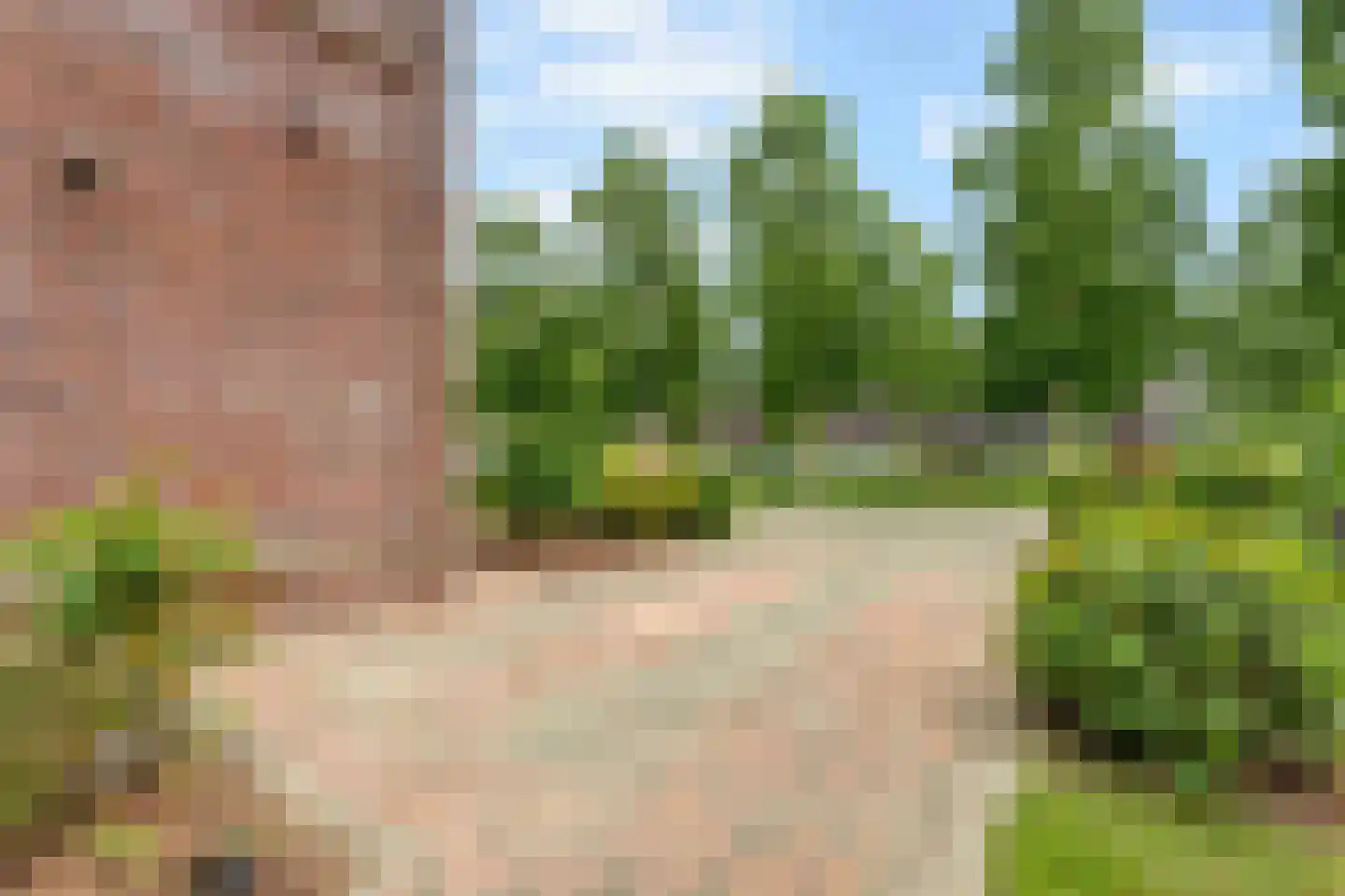 Kantbloemsingel 41 Vleuten thumbnail 68