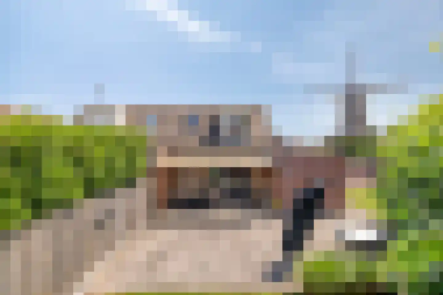 Kanteel 1 Dreumel thumbnail 10