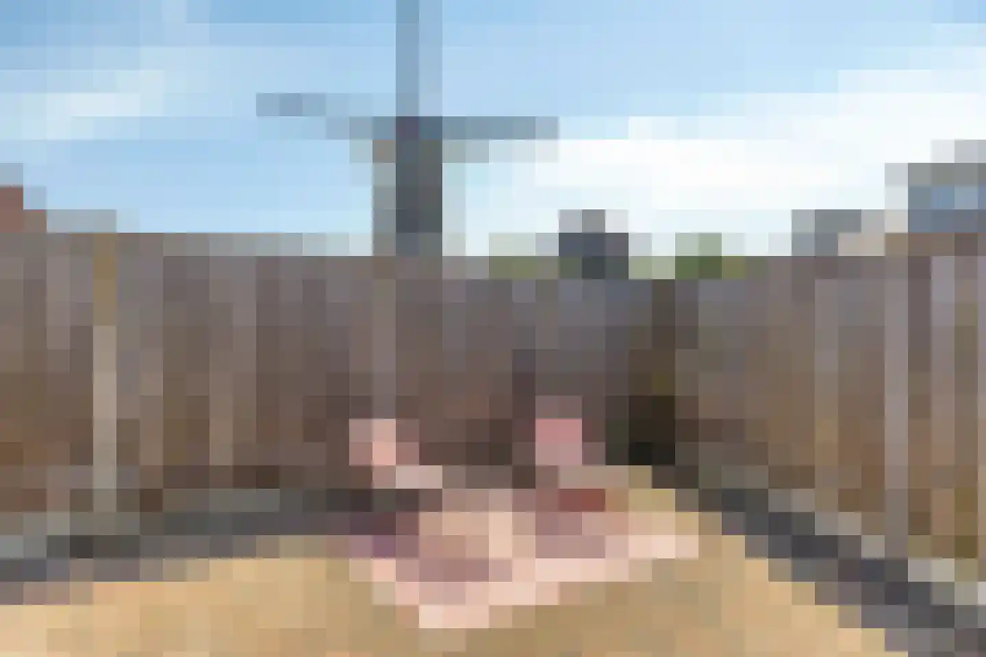 Kanteel 1 Dreumel thumbnail 12