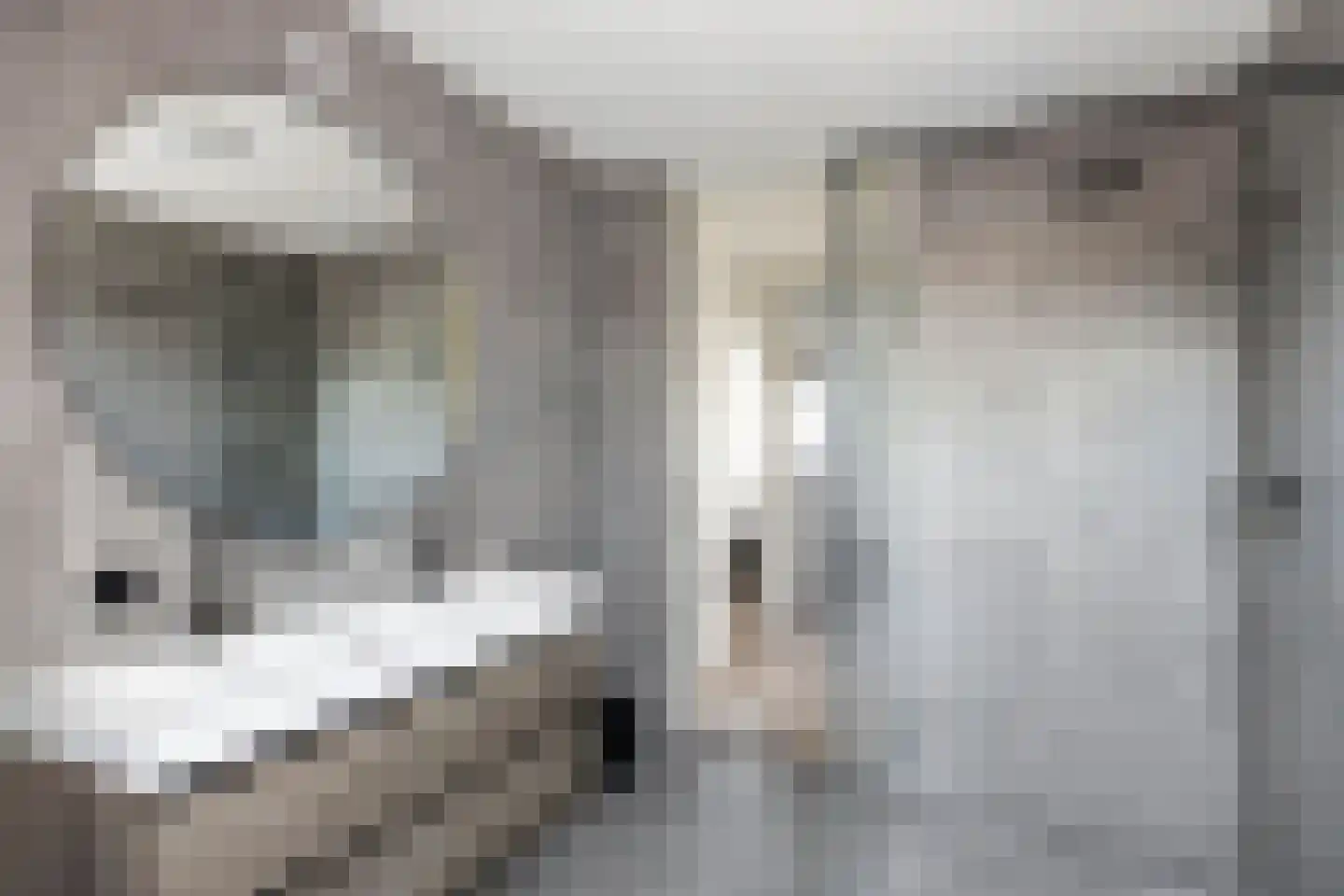 Kanteel 1 Dreumel thumbnail 25