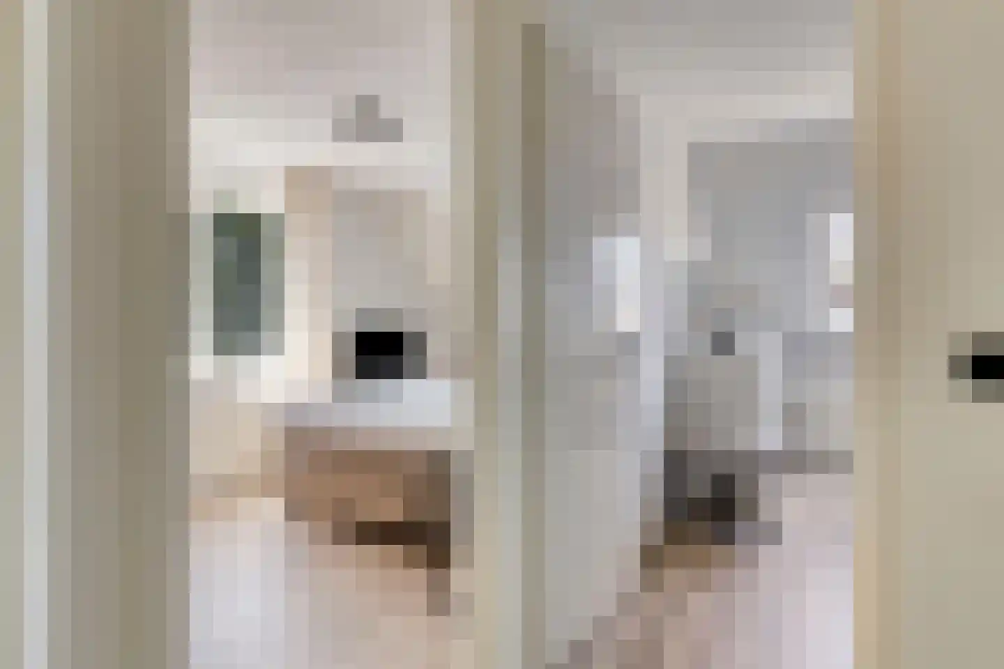Kanteel 1 Dreumel thumbnail 29