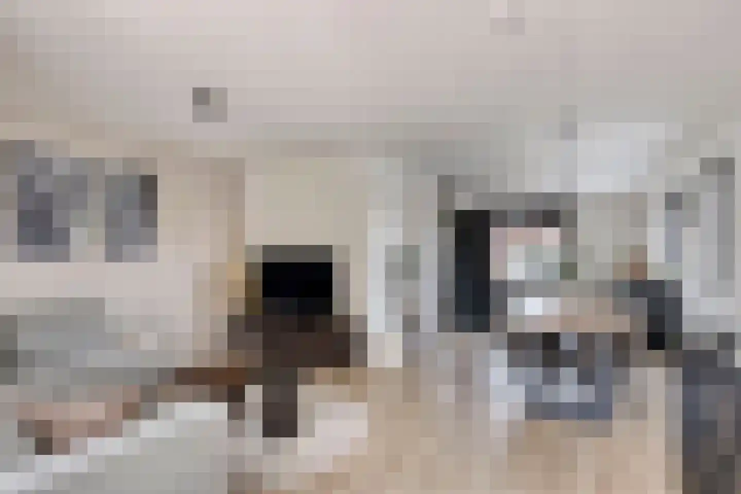 Kanteel 1 Dreumel foto 3