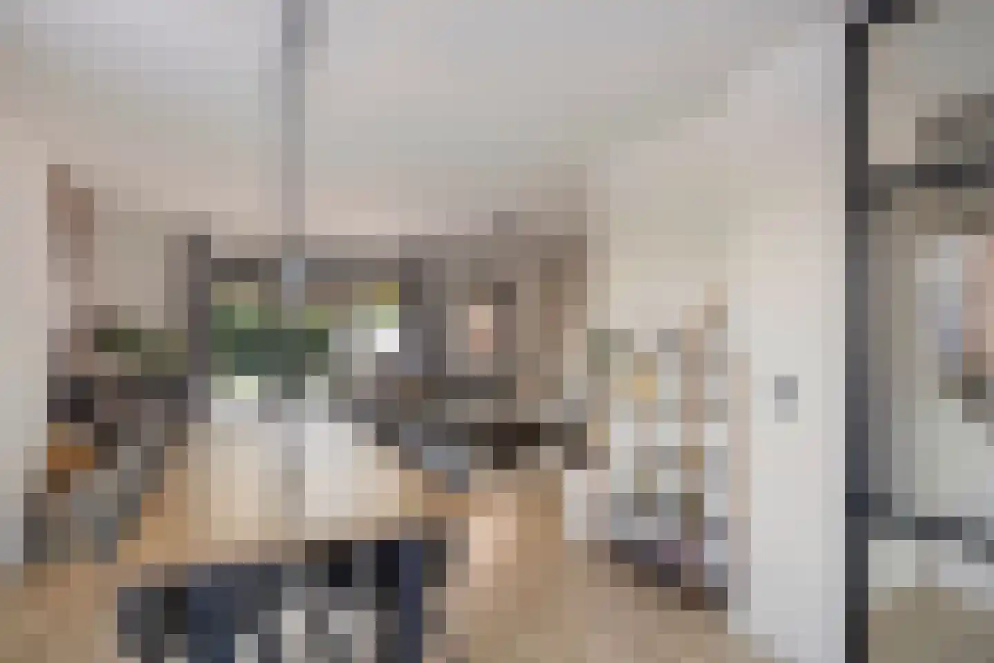 Kanteel 1 Dreumel thumbnail 37