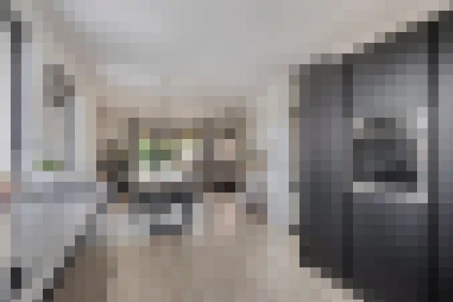 Kanteel 1 Dreumel thumbnail 4