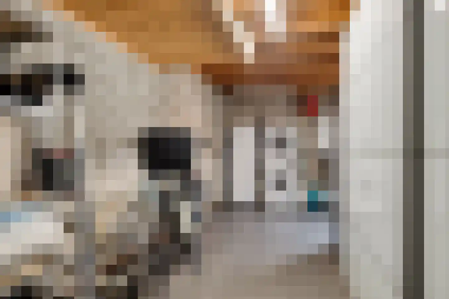 Kanteel 1 Dreumel thumbnail 8