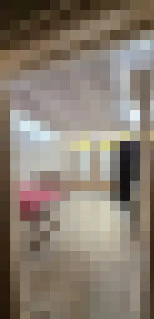 Kanteel 10 Dreumel thumbnail 14