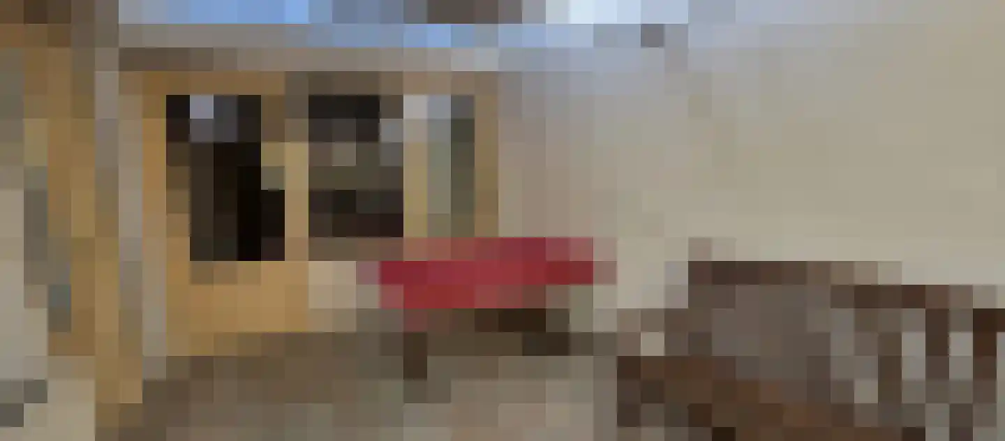 Kanteel 10 Dreumel thumbnail 15
