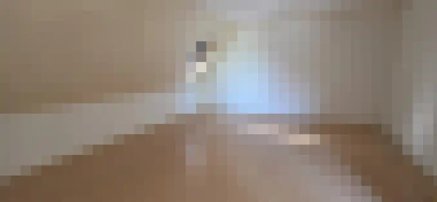Kanteel 10 Dreumel thumbnail 18