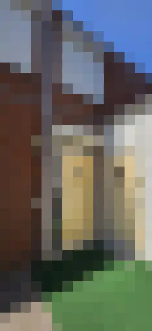 Kanteel 10 Dreumel foto 2