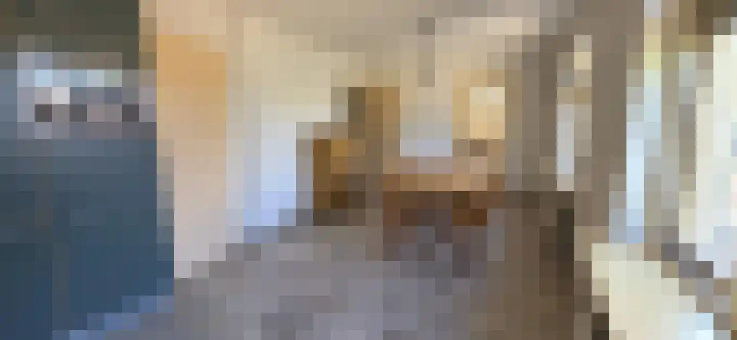 Kanteel 10 Dreumel thumbnail 4