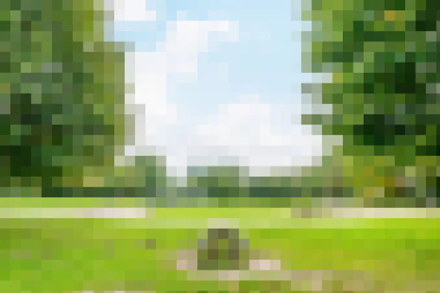 Kanteel 101 Amsterdam thumbnail 36