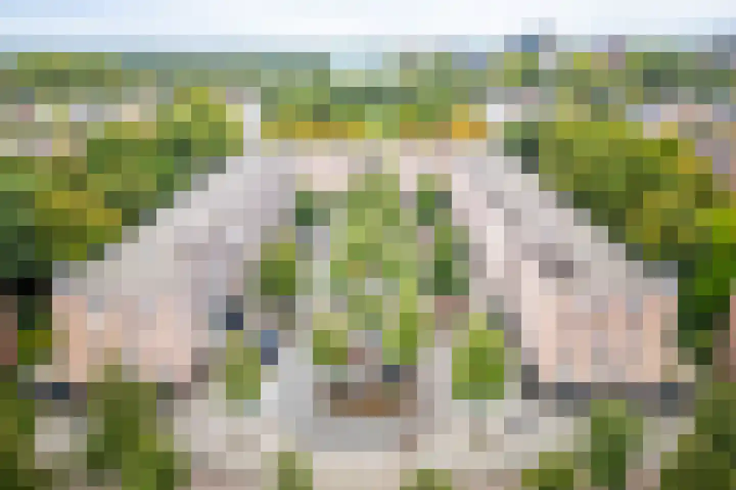 Kanteel 101 Amsterdam thumbnail 37