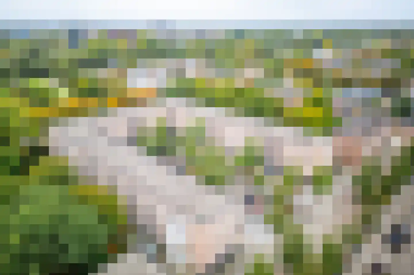Kanteel 101 Amsterdam thumbnail 38