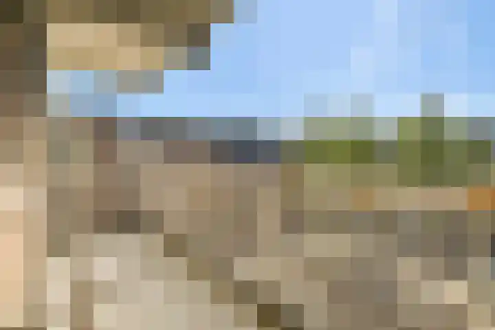 Kanteel 25 Amsterdam thumbnail 14
