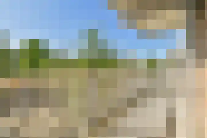 Kanteel 25 Amsterdam thumbnail 15