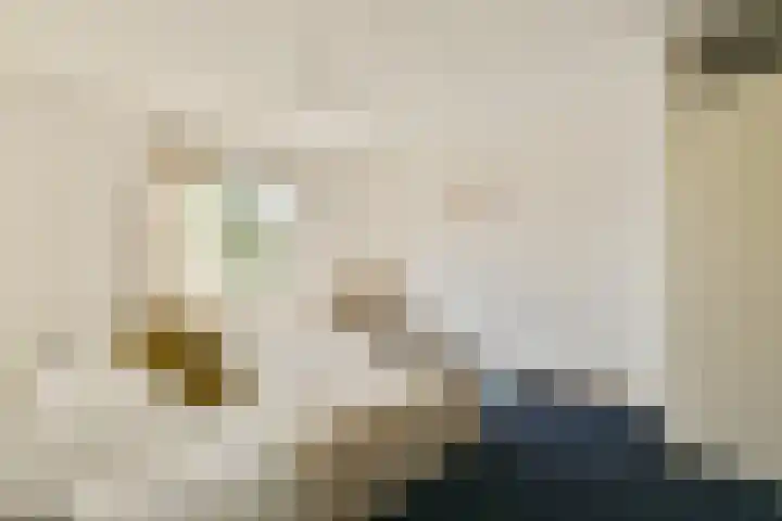 Kanteel 25 Amsterdam thumbnail 17