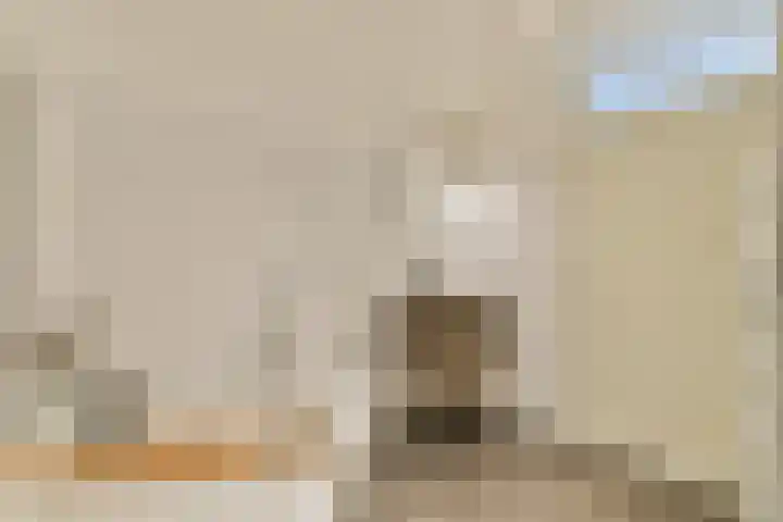 Kanteel 25 Amsterdam thumbnail 20