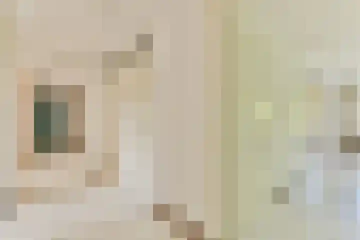 Kanteel 25 Amsterdam thumbnail 25