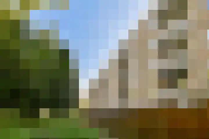Kanteel 25 Amsterdam thumbnail 28