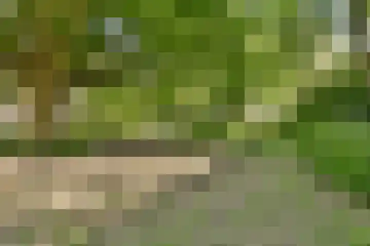 Kanteel 25 Amsterdam thumbnail 29
