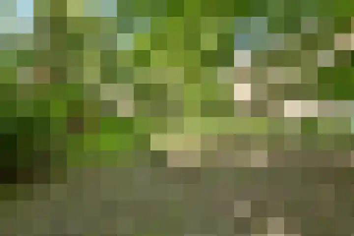 Kanteel 25 Amsterdam thumbnail 30