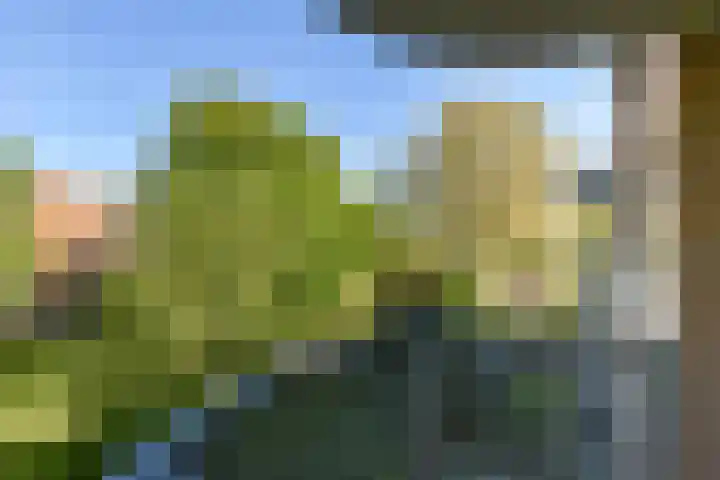 Kanteel 25 Amsterdam thumbnail 8