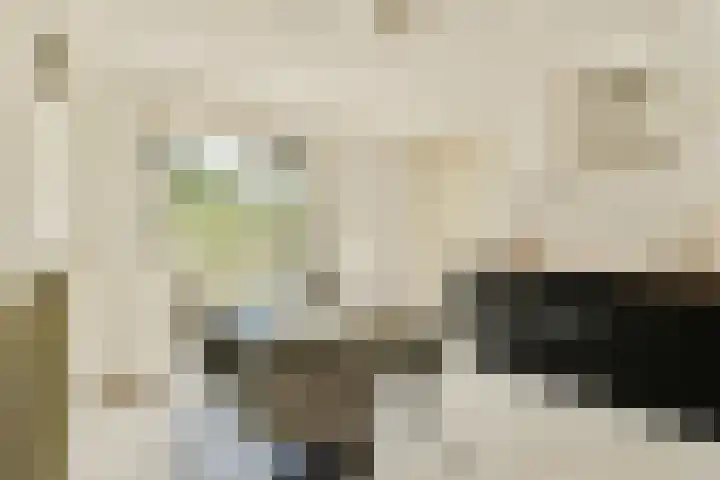 Kanteel 25 Amsterdam thumbnail 9