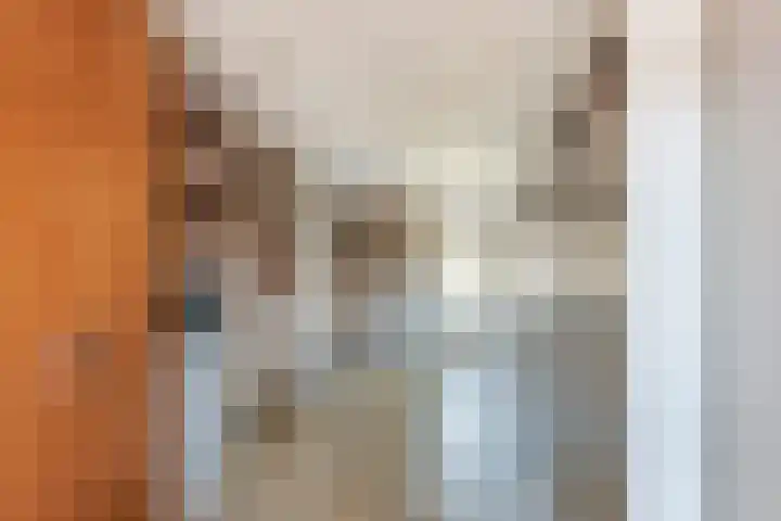 Kanteel 3 Dreumel thumbnail 15