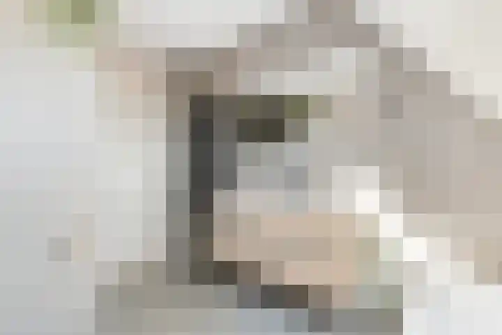 Kanteel 3 Dreumel thumbnail 22