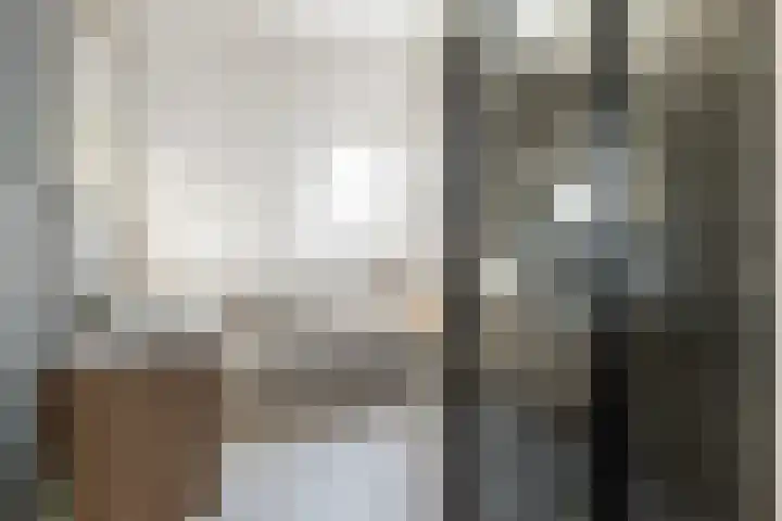 Kanteel 3 Dreumel thumbnail 23