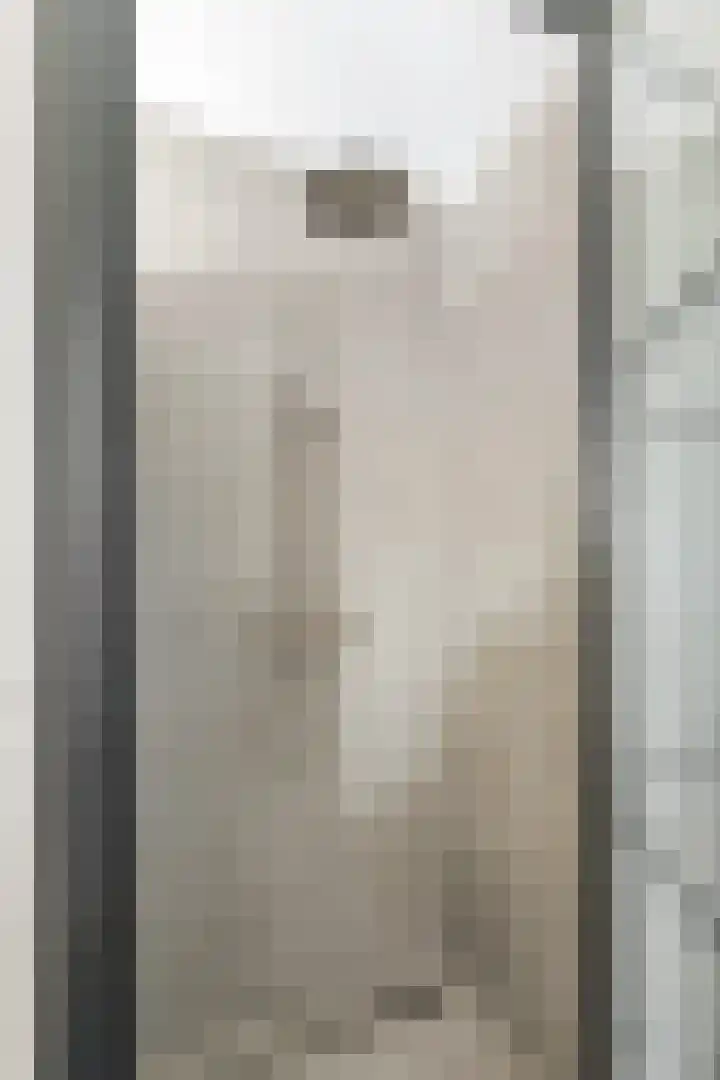 Kanteel 3 Dreumel thumbnail 24