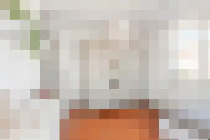 Kanteel 3 Dreumel thumbnail 26