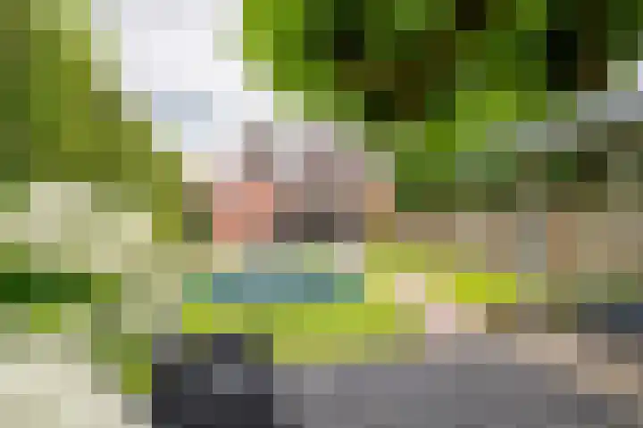 Kanteel 3 Dreumel thumbnail 29