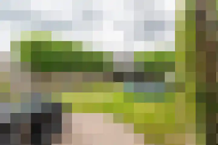 Kanteel 3 Dreumel thumbnail 33