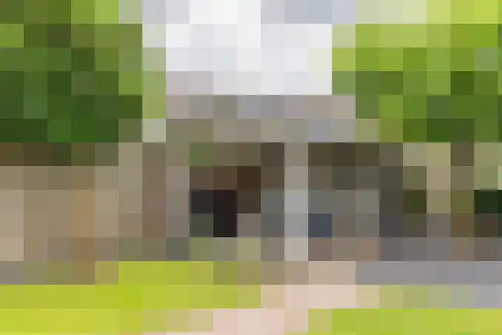 Kanteel 3 Dreumel thumbnail 34