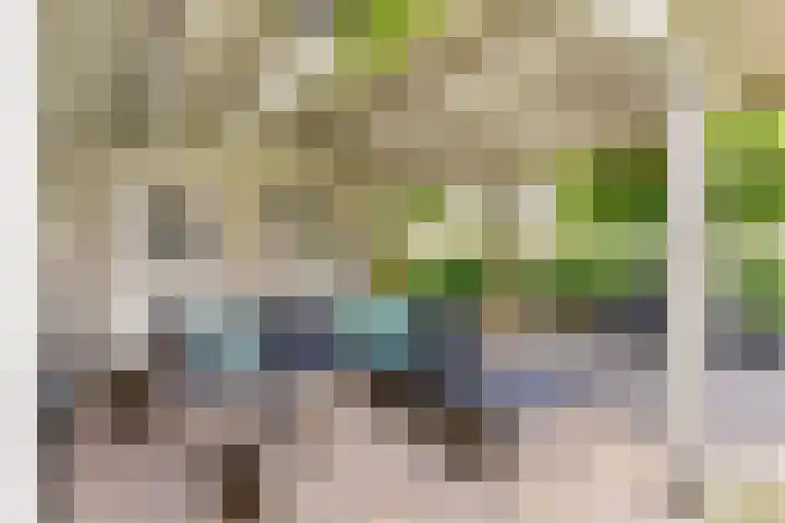 Kanteel 3 Dreumel thumbnail 36