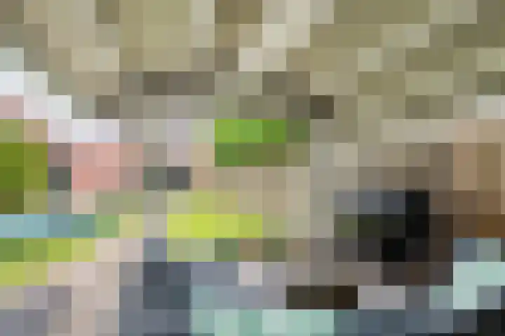 Kanteel 3 Dreumel thumbnail 37